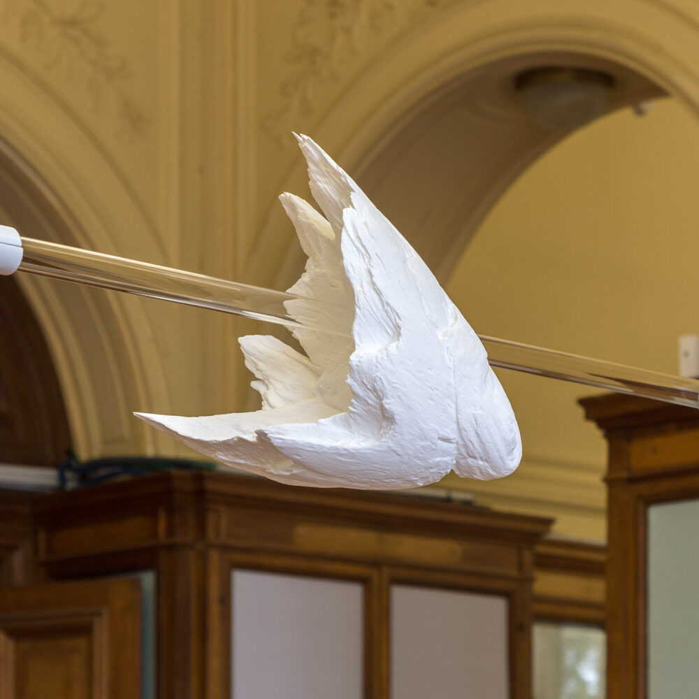 Boganium, handwavium et les autres