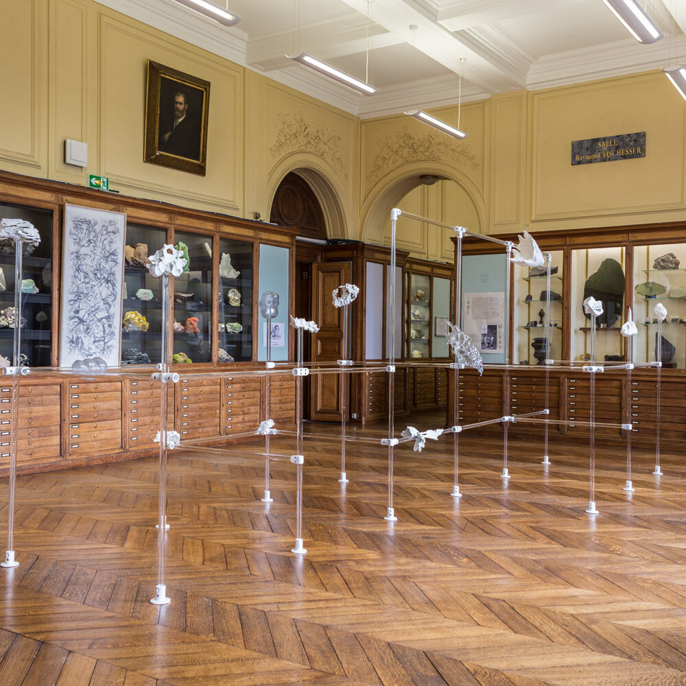 Boganium, handwavium et les autres