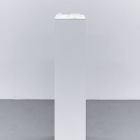 Relic 25 x 25 x 3cm - Pedestal 110cm tall