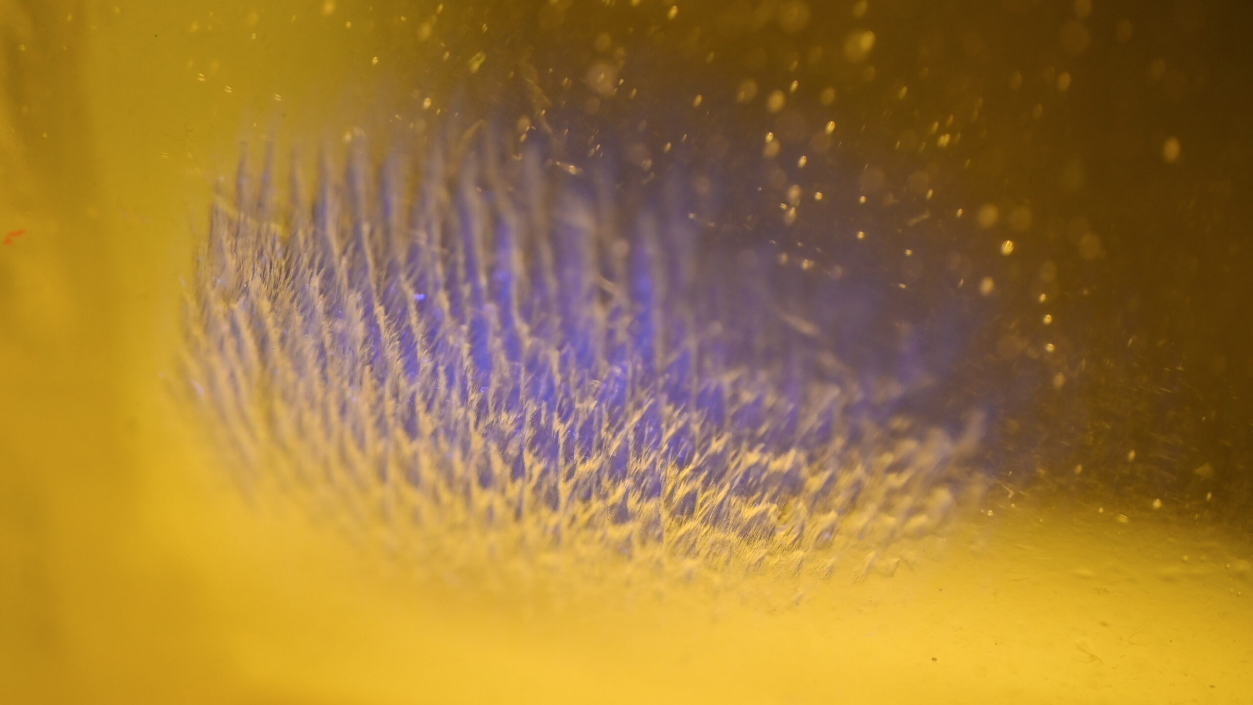 Light-Oriented Ontologies (2023) Image of the video
